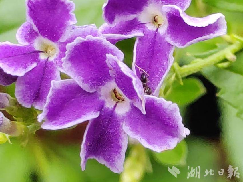 2018白菜网站彩金